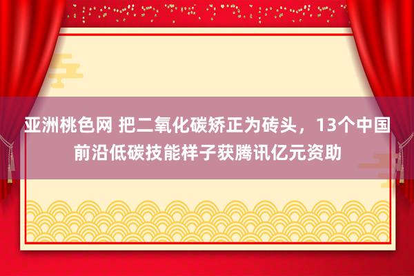 亚洲桃色网 把二氧化碳矫正为砖头，13个中国前沿低碳技能样子获腾讯亿元资助