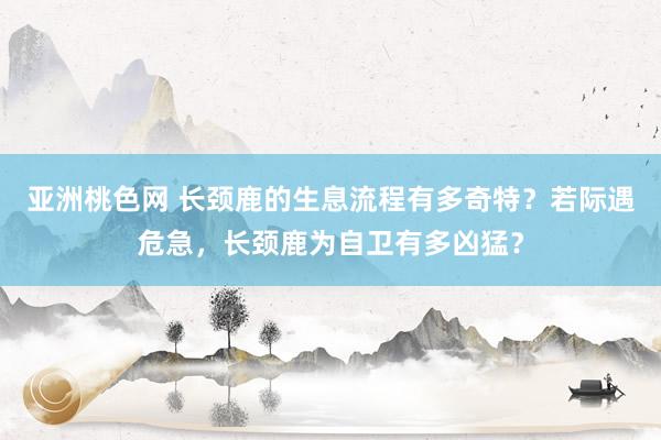 亚洲桃色网 长颈鹿的生息流程有多奇特？若际遇危急，长颈鹿为自卫有多凶猛？