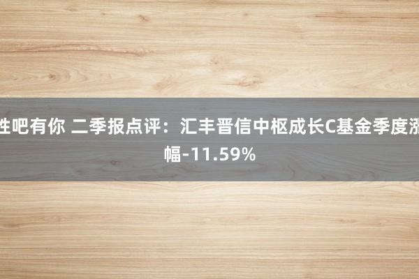 性吧有你 二季报点评：汇丰晋信中枢成长C基金季度涨幅-11.59%