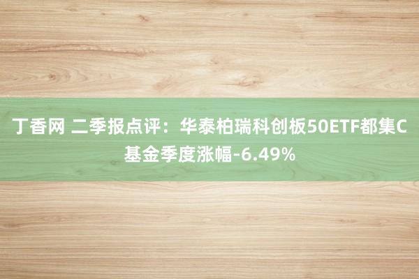 丁香网 二季报点评：华泰柏瑞科创板50ETF都集C基金季度涨幅-6.49%