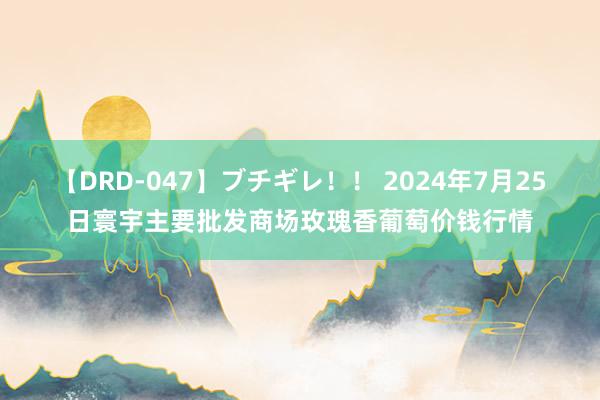 【DRD-047】ブチギレ！！ 2024年7月25日寰宇主要批发商场玫瑰香葡萄价钱行情