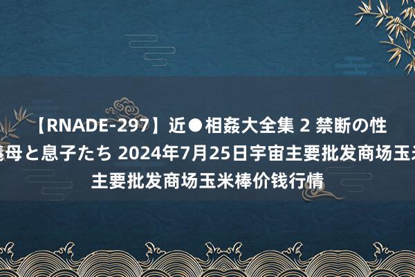 【RNADE-297】近●相姦大全集 2 禁断の性愛に堕ちた義母と息子たち 2024年7月25日宇宙主要批发商场玉米棒价钱行情