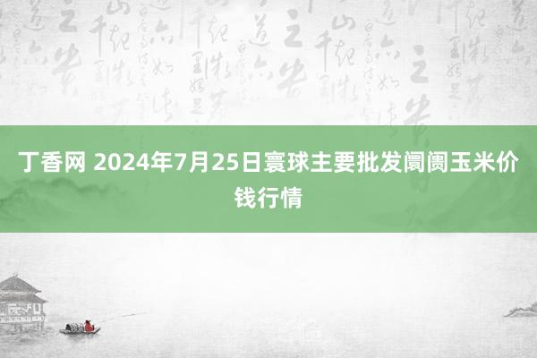 丁香网 2024年7月25日寰球主要批发阛阓玉米价钱行情