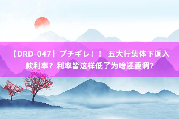 【DRD-047】ブチギレ！！ 五大行集体下调入款利率？利率皆这样低了为啥还要调？