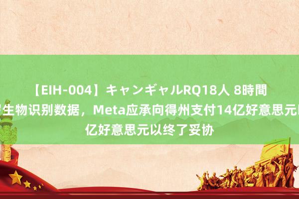 【EIH-004】キャンギャルRQ18人 8時間 因罪犯网罗生物识别数据，Meta应承向得州支付14亿好意思元以终了妥协