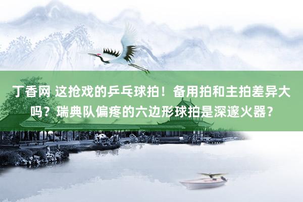 丁香网 这抢戏的乒乓球拍！备用拍和主拍差异大吗？瑞典队偏疼的六边形球拍是深邃火器？