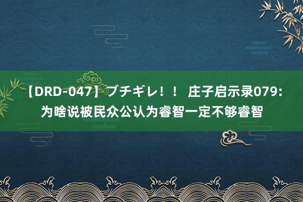 【DRD-047】ブチギレ！！ 庄子启示录079:为啥说被民众公认为睿智一定不够睿智