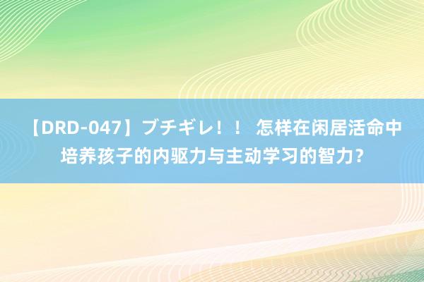 【DRD-047】ブチギレ！！ 怎样在闲居活命中培养孩子的内驱力与主动学习的智力？