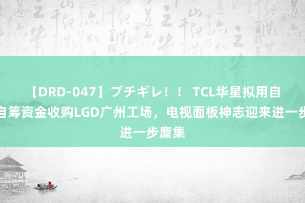 【DRD-047】ブチギレ！！ TCL华星拟用自有或自筹资金收购LGD广州工场，电视面板神志迎来进一步麇集