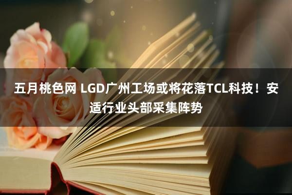 五月桃色网 LGD广州工场或将花落TCL科技！安适行业头部采集阵势