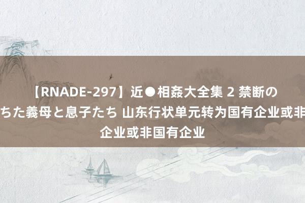 【RNADE-297】近●相姦大全集 2 禁断の性愛に堕ちた義母と息子たち 山东行状单元转为国有企业或非国有企业