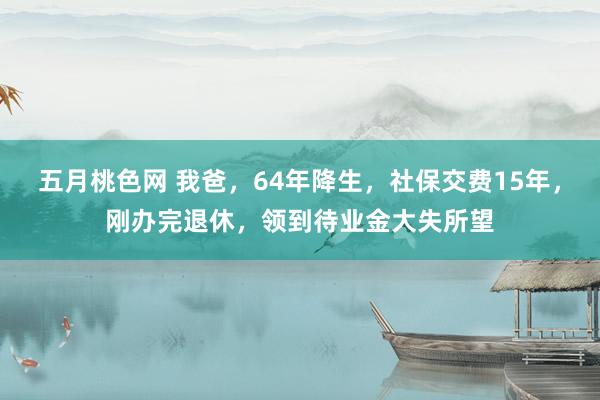 五月桃色网 我爸，64年降生，社保交费15年，刚办完退休，领到待业金大失所望