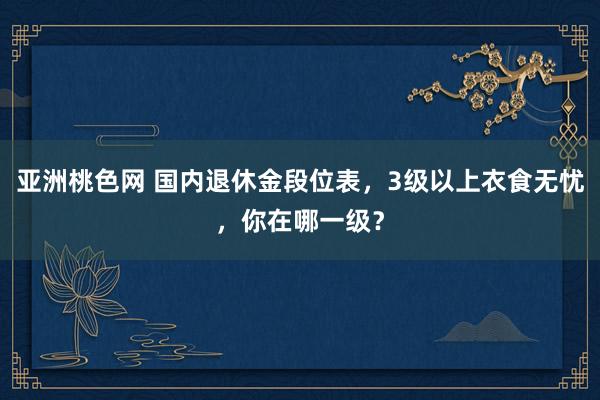 亚洲桃色网 国内退休金段位表，3级以上衣食无忧，你在哪一级？