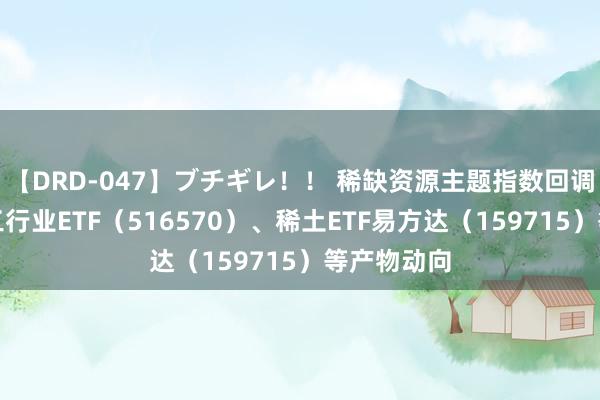 【DRD-047】ブチギレ！！ 稀缺资源主题指数回调，珍贵化工行业ETF（516570）、稀土ETF易方达（159715）等产物动向