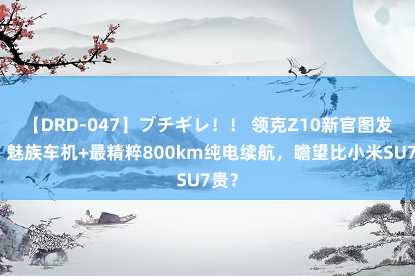 【DRD-047】ブチギレ！！ 领克Z10新官图发布！魅族车机+最精粹800km纯电续航，瞻望比小米SU7贵？