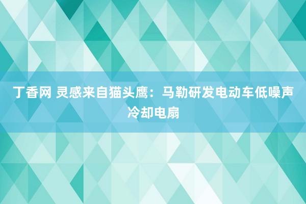 丁香网 灵感来自猫头鹰：马勒研发电动车低噪声冷却电扇