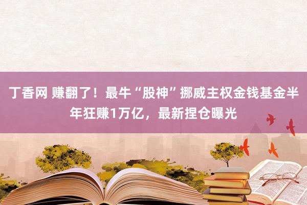 丁香网 赚翻了！最牛“股神”挪威主权金钱基金半年狂赚1万亿，最新捏仓曝光