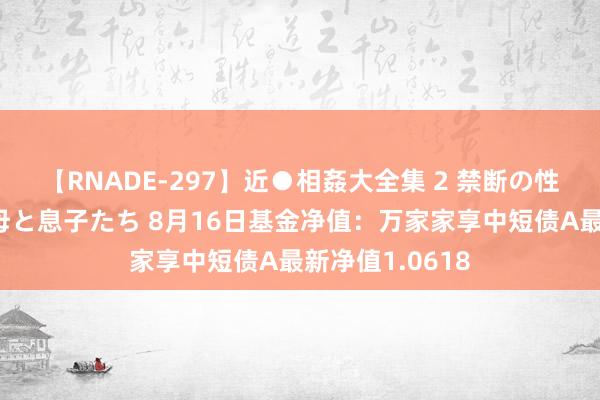 【RNADE-297】近●相姦大全集 2 禁断の性愛に堕ちた義母と息子たち 8月16日基金净值：万家家享中短债A最新净值1.0618