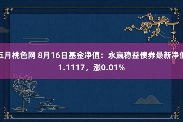 五月桃色网 8月16日基金净值：永赢稳益债券最新净值1.1117，涨0.01%