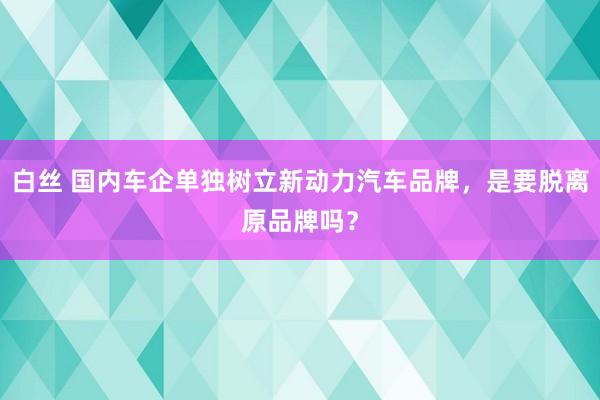 白丝 国内车企单独树立新动力汽车品牌，是要脱离原品牌吗？