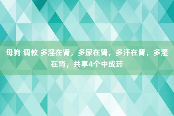 母狗 调教 多淫在肾，多尿在肾，多汗在肾，多湿在肾，共享4个中成药