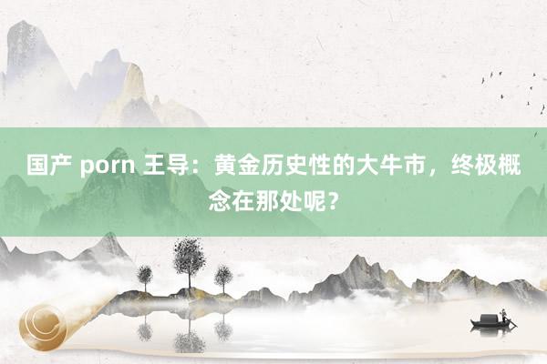 国产 porn 王导：黄金历史性的大牛市，终极概念在那处呢？