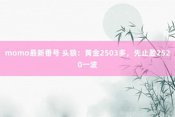 momo最新番号 头狼：黄金2503多，先止盈2520一波