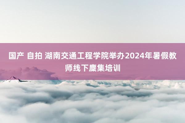 国产 自拍 湖南交通工程学院举办2024年暑假教师线下麇集培训