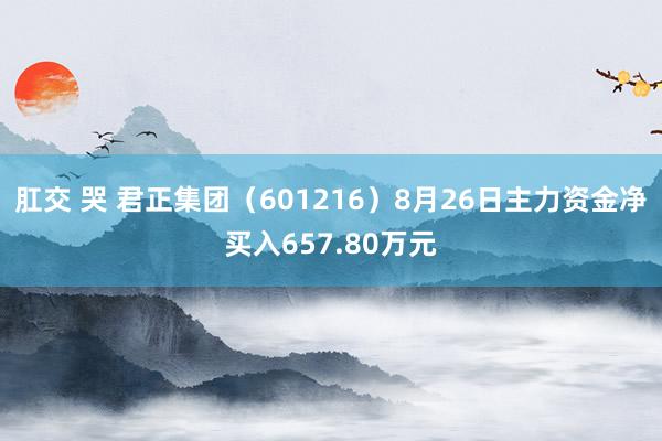 肛交 哭 君正集团（601216）8月26日主力资金净买入657.80万元