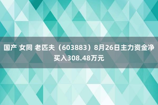 国产 女同 老匹夫（603883）8月26日主力资金净买入308.48万元