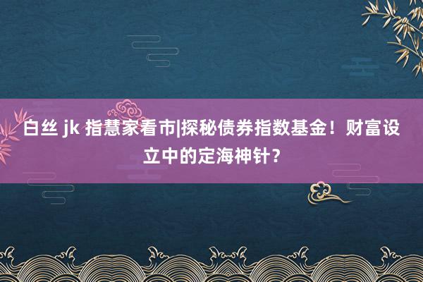 白丝 jk 指慧家看市|探秘债券指数基金！财富设立中的定海神针？