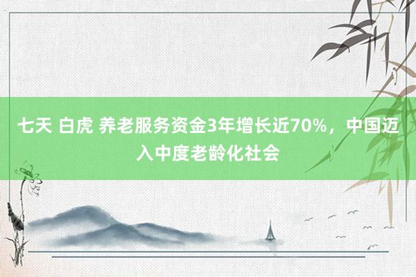 七天 白虎 养老服务资金3年增长近70%，中国迈入中度老龄化社会