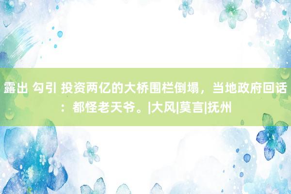 露出 勾引 投资两亿的大桥围栏倒塌，当地政府回话：都怪老天爷。|大风|莫言|抚州