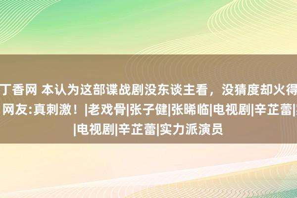 丁香网 本认为这部谍战剧没东谈主看，没猜度却火得一塌微辞，网友:真刺激！|老戏骨|张子健|张晞临|电视剧|辛芷蕾|实力派演员