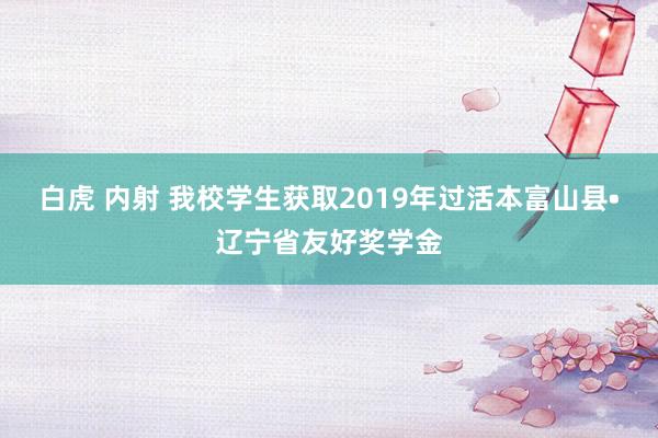 白虎 内射 我校学生获取2019年过活本富山县•辽宁省友好奖学金