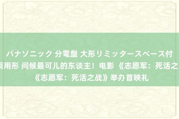 パナソニック 分電盤 大形リミッタースペース付 露出・半埋込両用形 问候最可儿的东谈主！电影 《志愿军：死活之战》举办首映礼