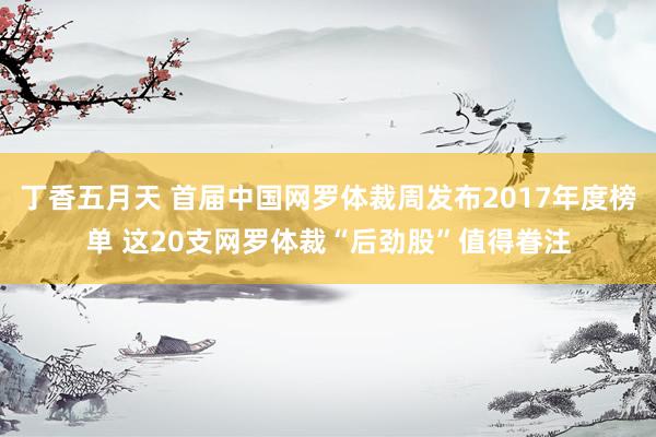 丁香五月天 首届中国网罗体裁周发布2017年度榜单 这20支网罗体裁“后劲股”值得眷注