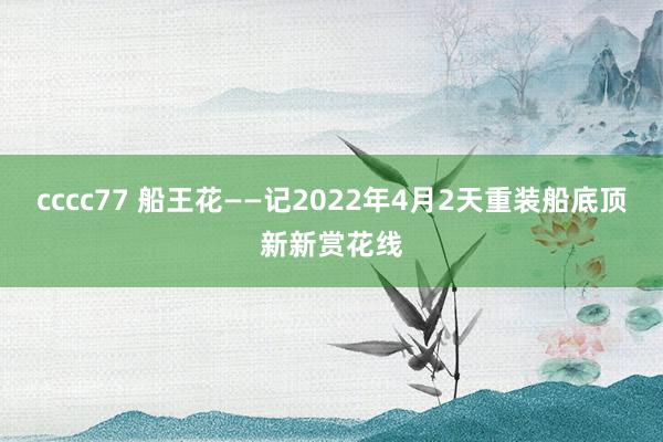 cccc77 船王花——记2022年4月2天重装船底顶新新赏花线